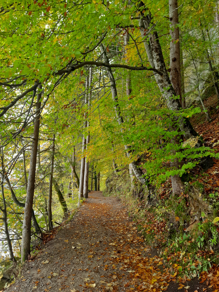 Wanderungen in Gruppen