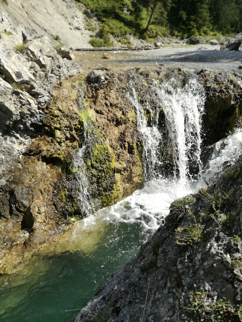 Naturcoaching im Allgäu