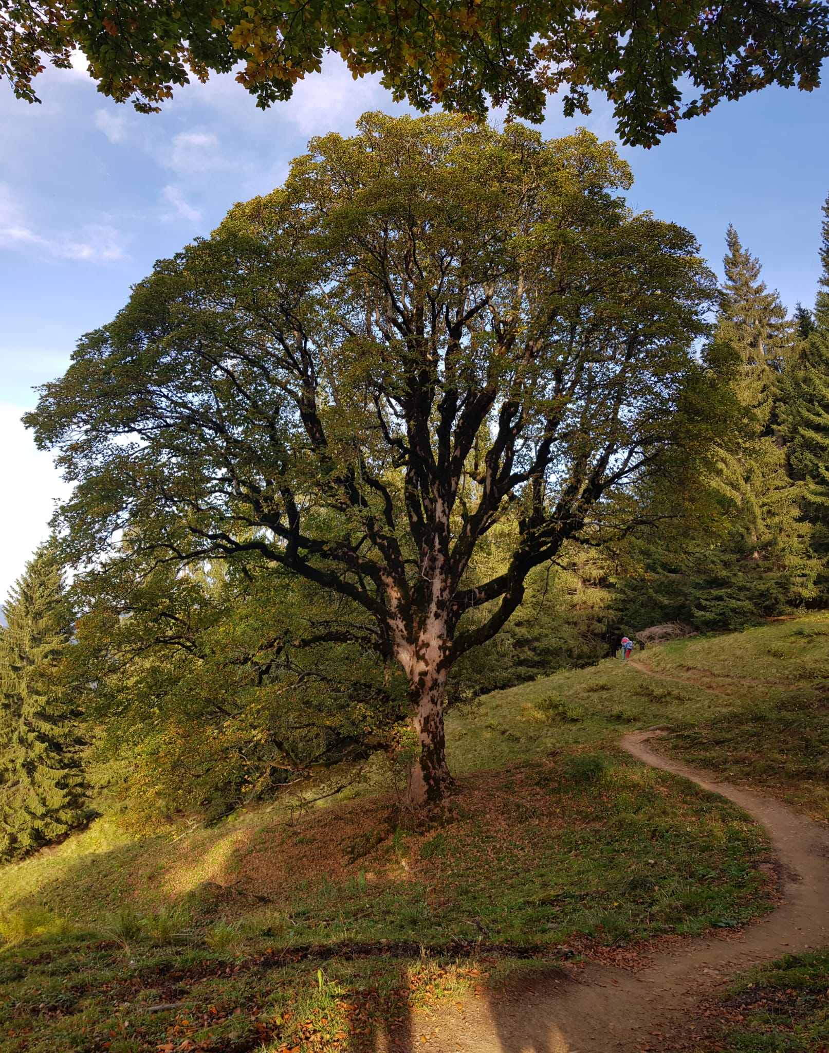 Life Coaching Outdoor